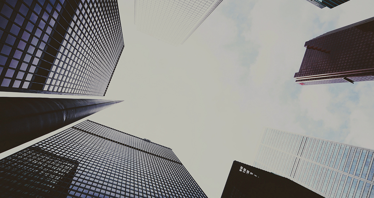 Perfil de la empresa